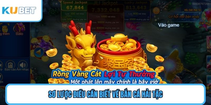 Sơ lược điều cần biết về bắn cá Hải Tặc